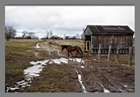 ����������� ����� 1 �.�.jpg