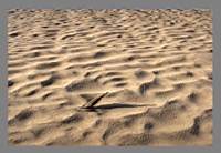 ����� �� ����.jpg