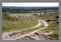 ������ ����.jpg