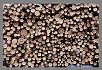 ������ ����.jpg